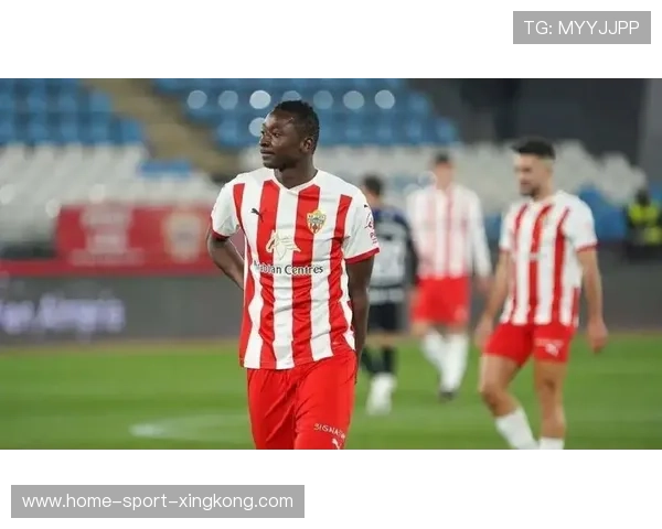 埃尔切用顽强态度书写升班马反击教科书 埃尔切用顽强态度书写升班马反击教科书